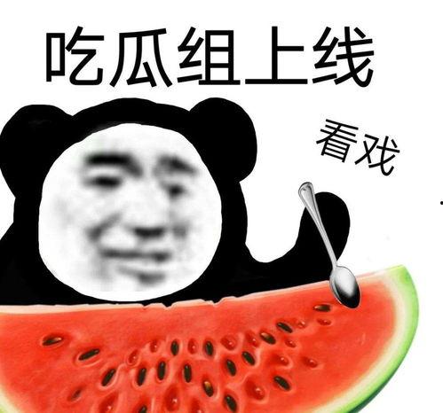 学校吃瓜视频,揭秘学校吃瓜视频背后的故事  第2张