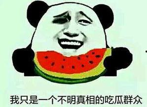 请你吃瓜呀视频  第2张